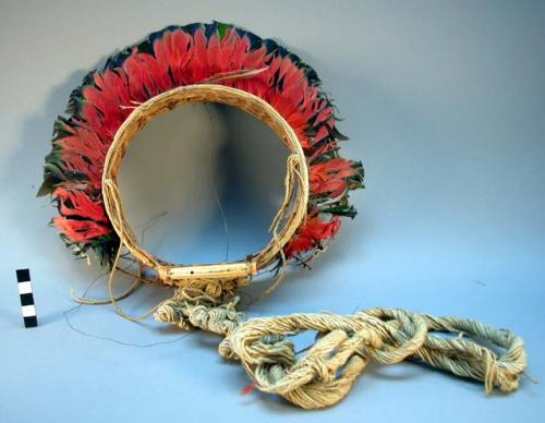 Feather headdress