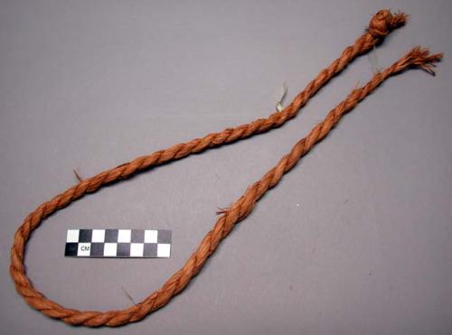 Rope for scaring rabbits 'corvaria mexicana'