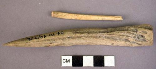 Fragment of bone needle