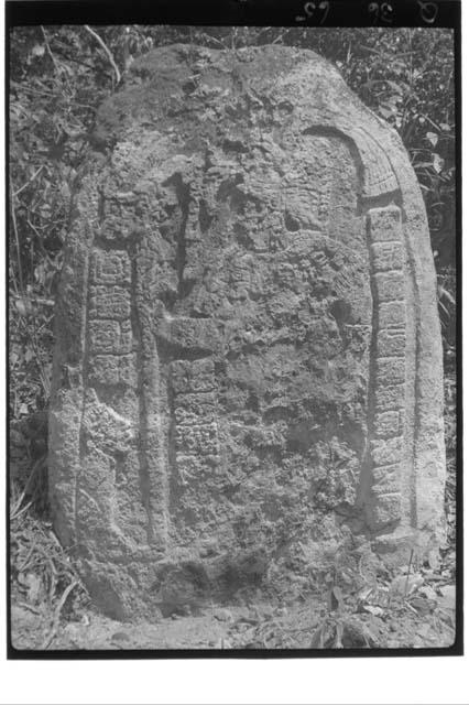 Stela 8 - front