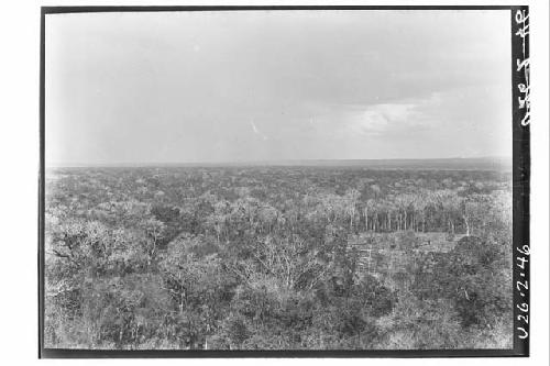 View of vegetation from temple