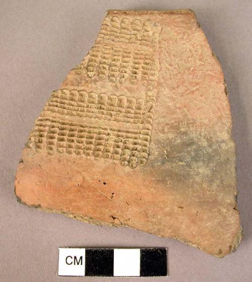 Pottery rim sherd, puctate design