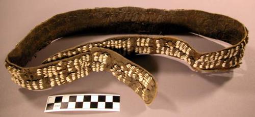 Woman's belt, caribou teeth