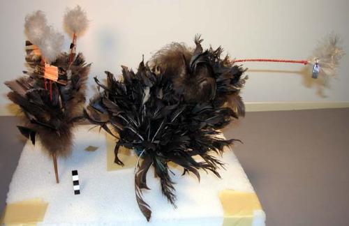 Bunch of feathers worn at head by leader only