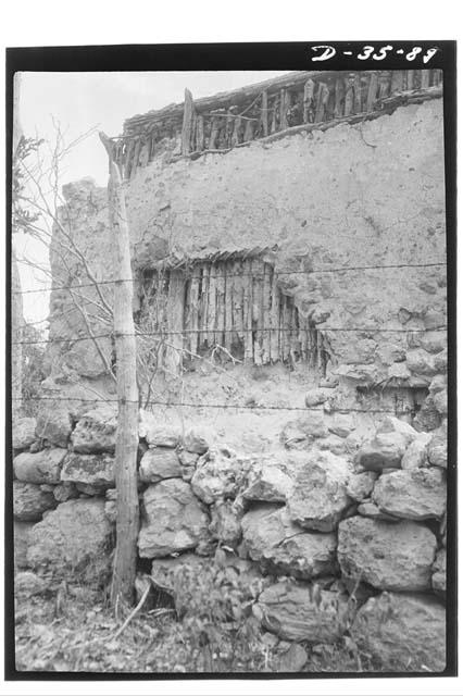 Ruined House; Wall Poles and Plaster