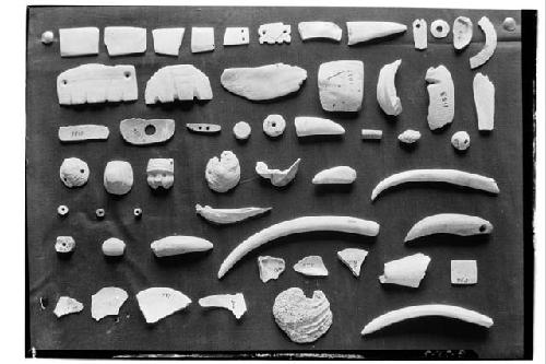 Shells, miscellaneous with imitation teeth