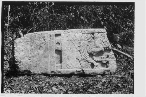 Stela 40 - front