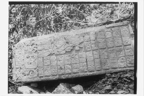 Structure 44; upper sculpted step, central doorway