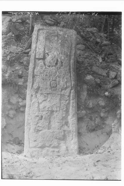 Stela 29 - front