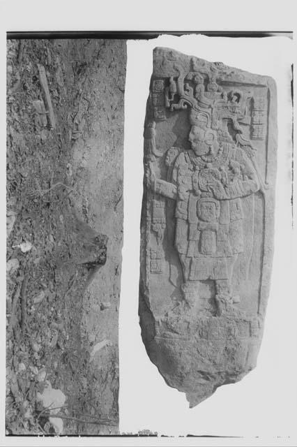 Stela 51 - front