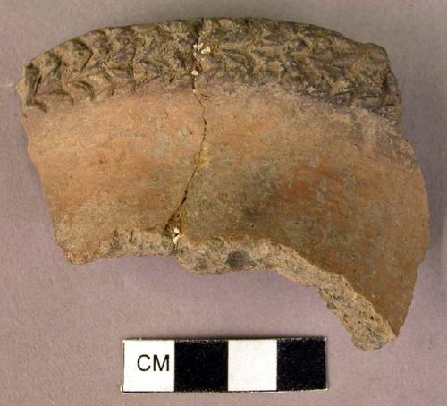 Rim sherd