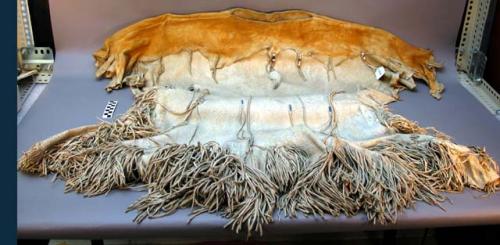 Woman's buckskin dress. Fringe around bottom and up sides.