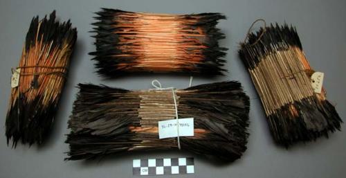 Feather head-dresses, red shafts (5)