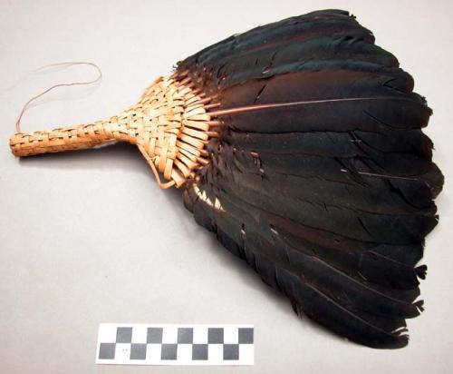 Fibre fan with feathers