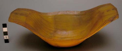 Dish made of horn