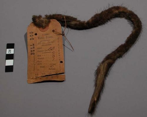 Teton Sioux weekly ration ticket from the 4th quarter of 1885