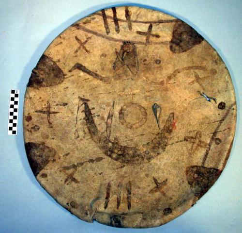 Pueblo dance shield, possibly from San Juan. Hide is stretched over a hoop