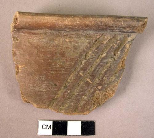 Rim sherd