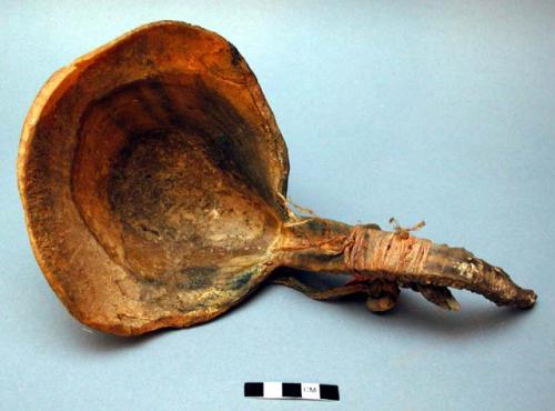 Ladles. mountain sheep horn