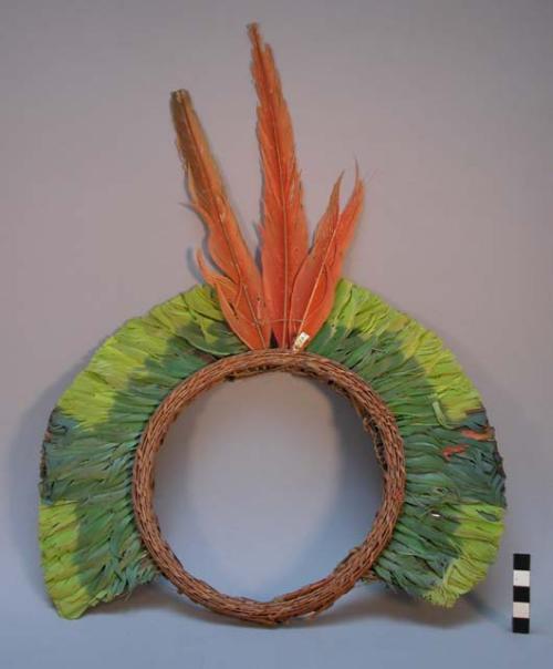 Feather ornament or headdress