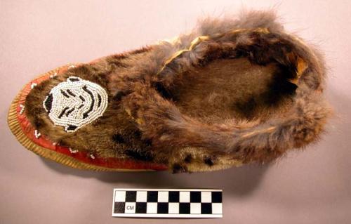 Single moccasin made of hide and sealskin with bead trim