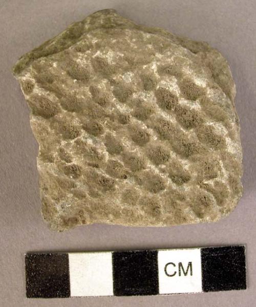 Pottery fragment, stippled