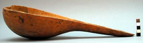 Large gourd ladle