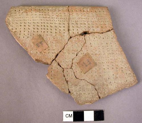 2 impressed ware sherds - multiple lines of closely spaced dots