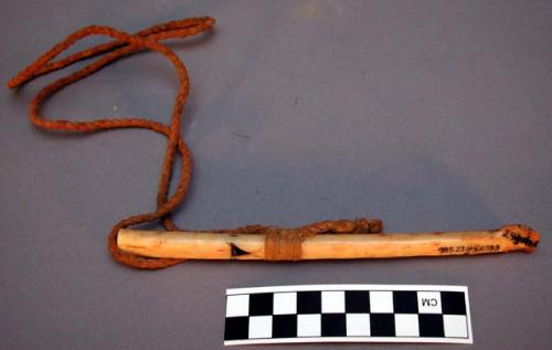 Eagle bone whistle from Crow horse stealing medicine.