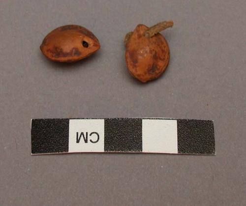 Perforated fruit pits with leather attached, possibly bead ornaments