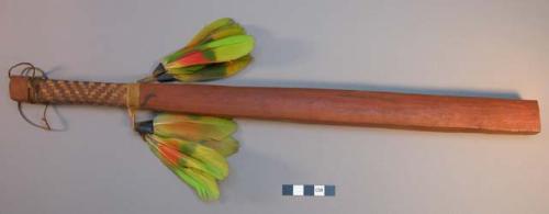 Wooden club with green feathers around the top - ceremonial