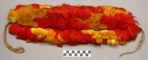 Feather headdress - red and yellow toucan