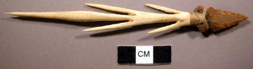 Retrieving arrow head of bone with stone point