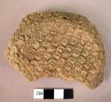 Base sherd