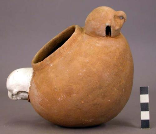 Pottery jar with 2 appliqued bird head effigies on sides- 1 missing.  Light brow