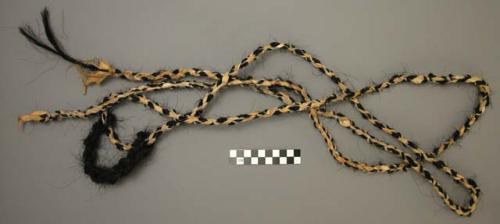 Bridle of horsehair and buck skin