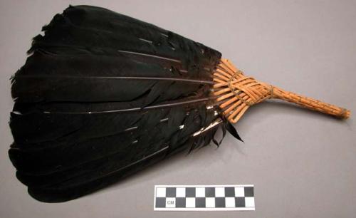 Fibre fan with feathers