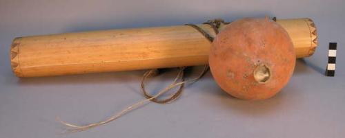 Cane quiver with gourd at side filled with cotton - holds darts 30/7134