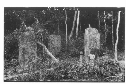 Structure II - Stelae 39, 42 and 40 - left to right, in front