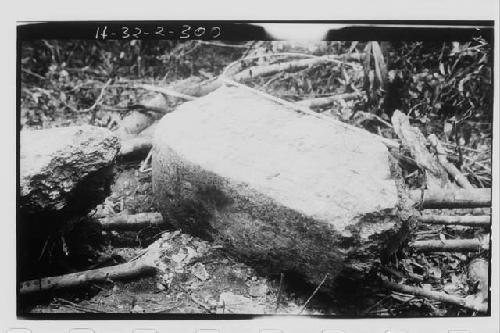 Stela 13; front top, left corner showing part of plain left side