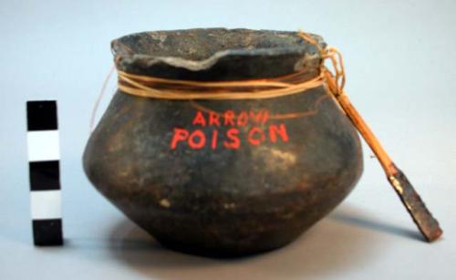 Jars curare poison