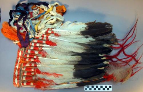 Headdress--felt skull cap to which are attached white, pink & red feathers