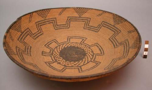 Small basket tray, coiled. Made of bear grass and devil's claw.