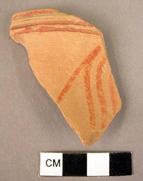 Rim potsherd; potsherd    1 in tray  ER