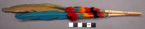 Tetaco. Pair of nose plumes for men - wakamaiyu and bush turkey (paujil) feathers.