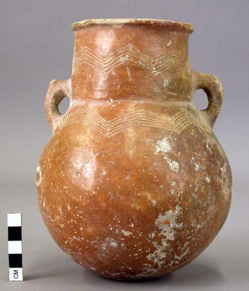 Amphora