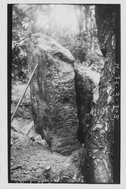 Stela 13 - front, bottom, left corner