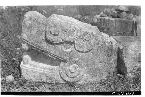 Serpent Balustrades. Head from Eagles platform.