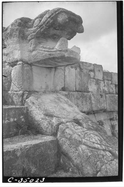 Serpent balustrades. Head and part of body of lower balustrade - inverted scroll