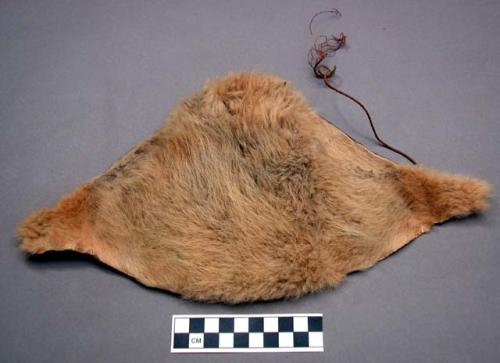 Guanaco skin headdress